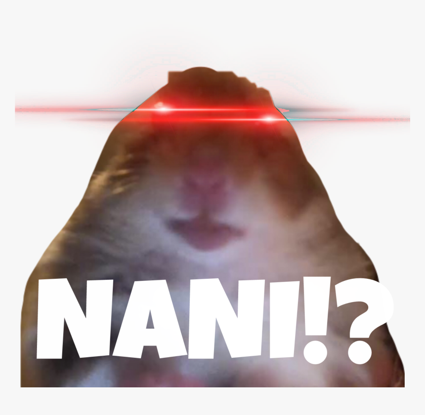 meme nani xd flan hd png download kindpng