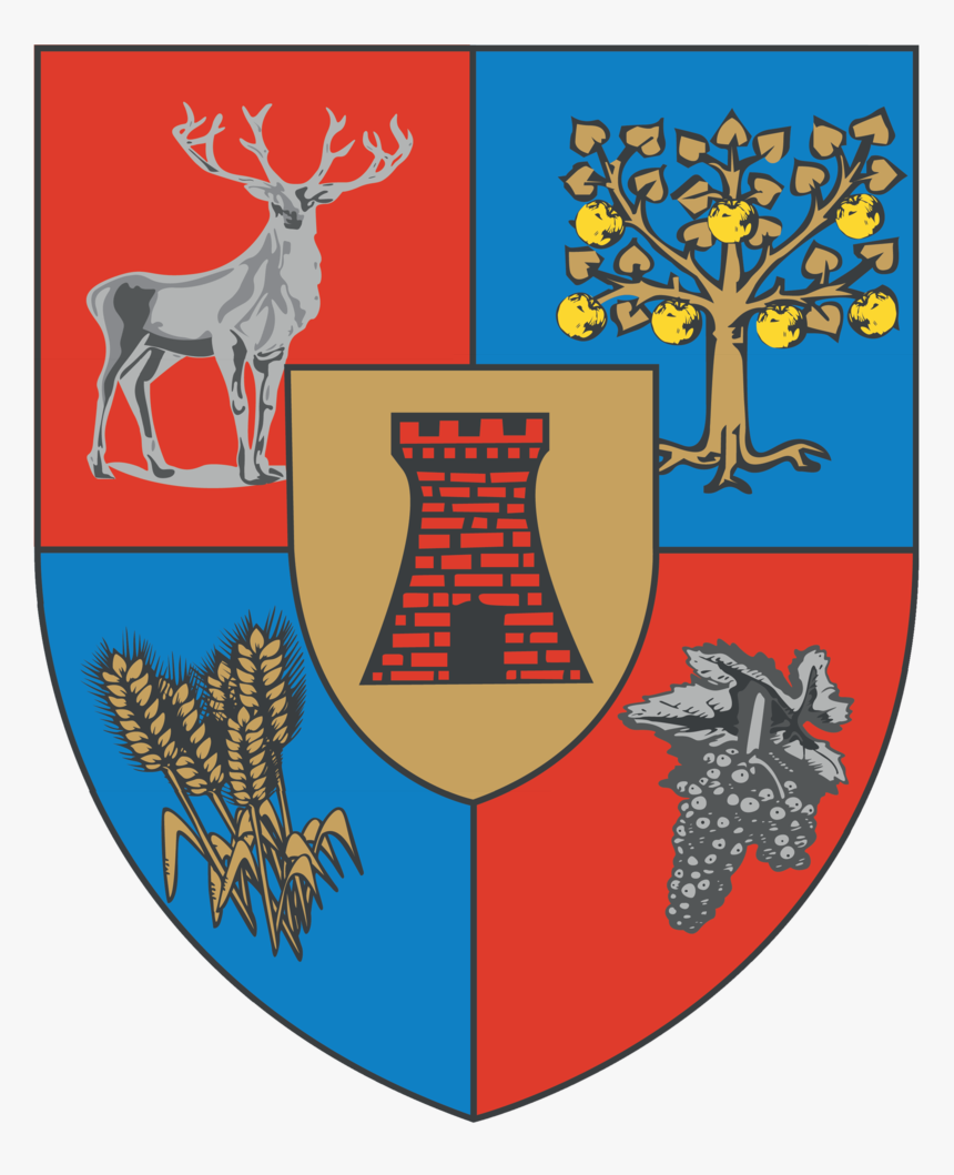 Actual Satu Mare County Coa - Consiliul Judetean Satu Mare, HD Png Download, Free Download