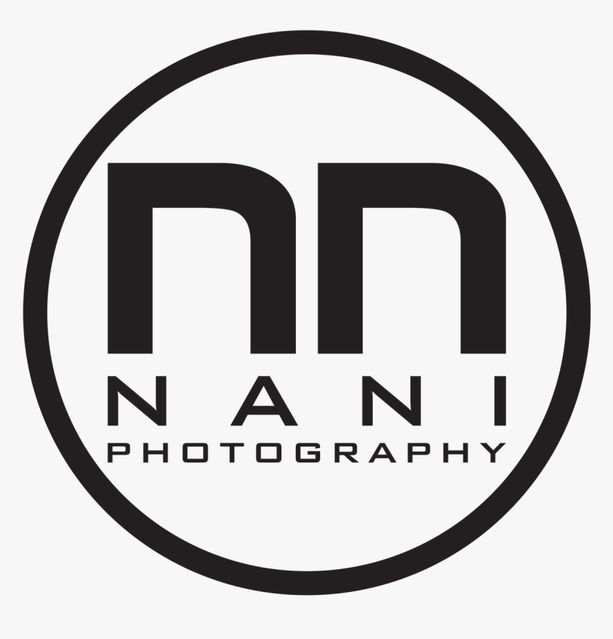 199 Nani 4 - Web Cam Icon, HD Png Download, Free Download