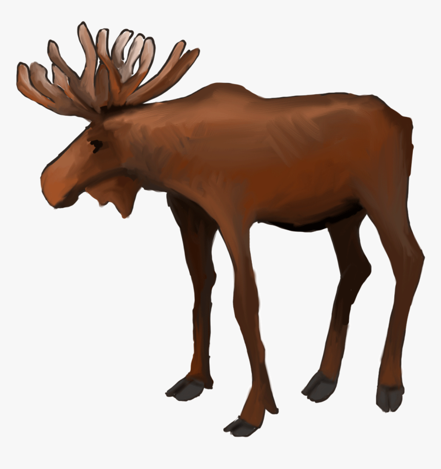 Vector Transparent Stock Magical Illustrations Banc - Reindeer, HD Png Download, Free Download