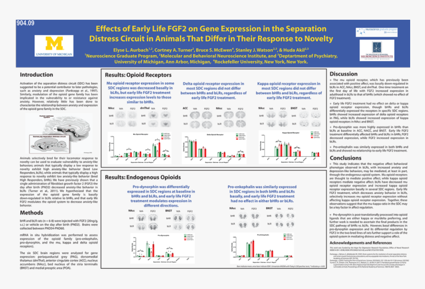 Eaurbach Sfn2011 Final - Dr Stanley Watson University Of Michigan, HD Png Download, Free Download