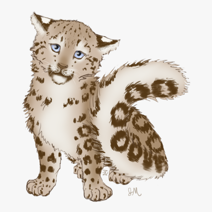 Snow Leopard Png, Transparent Png, Free Download