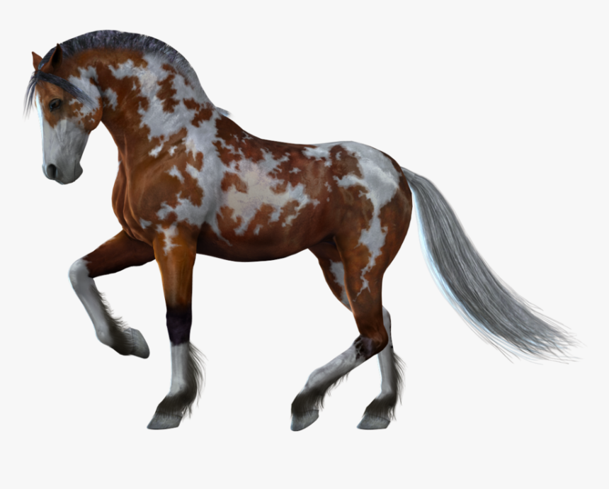 Horse Clipart Png Download, Transparent Png, Free Download