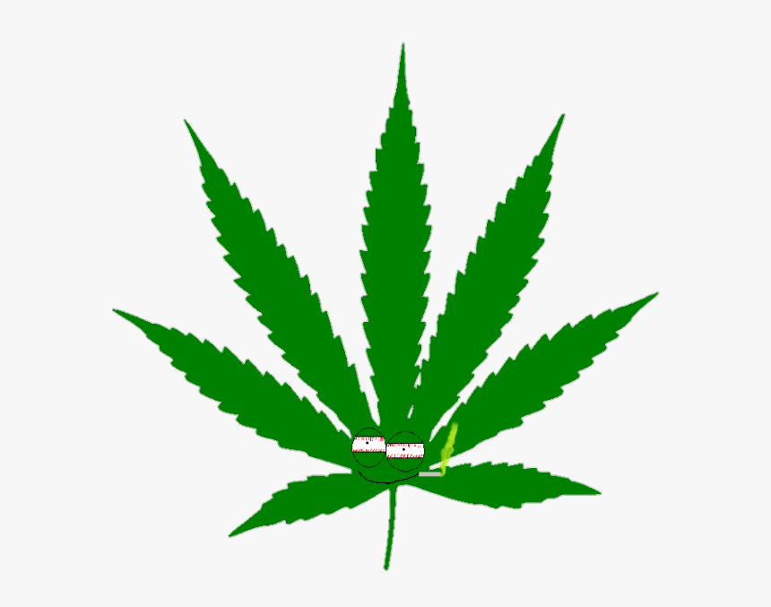 420 Blaze It Years Old, HD Png Download, Free Download