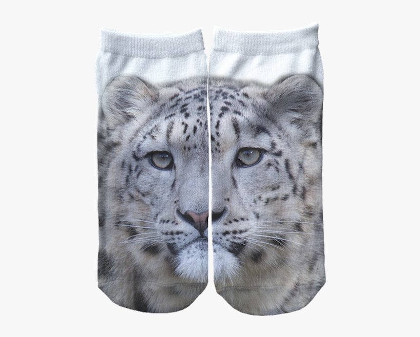 Snow Leopard Png, Transparent Png, Free Download