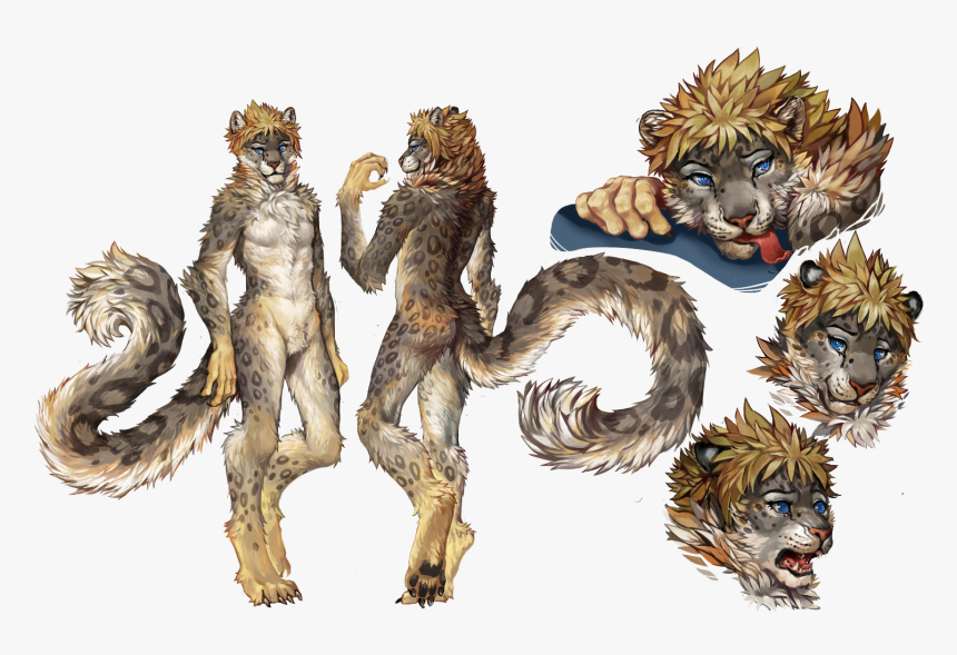 Commission Snow Leopard Male Ref Sheet, HD Png Download, Free Download