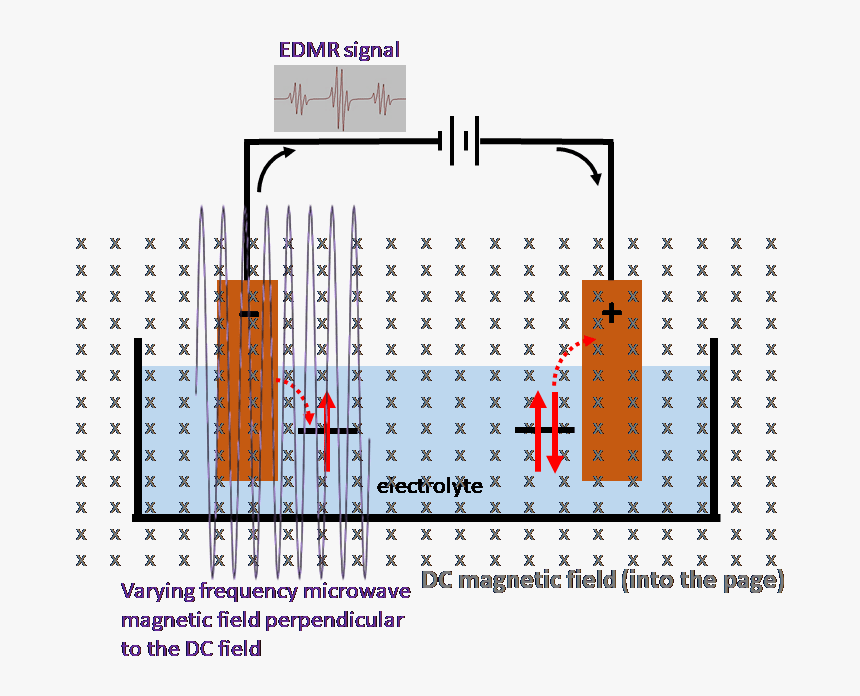 Edmr Set Up To Measure The Electrode Process Of An, HD Png Download, Free Download