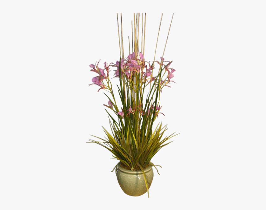 Cattails Png, Transparent Png, Free Download