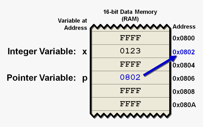 Pointersf, HD Png Download, Free Download