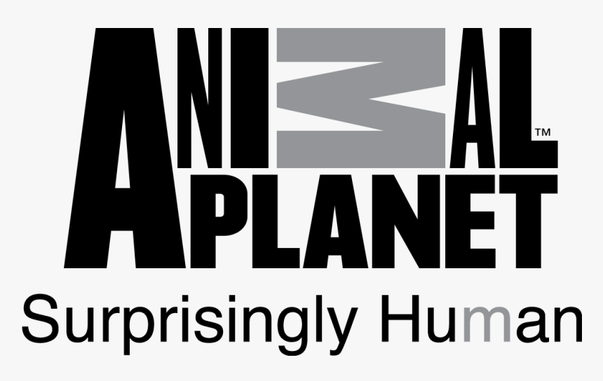 Animal Planet, HD Png Download, Free Download