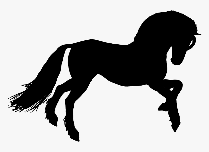 Horse Silhouette Wild, HD Png Download, Free Download