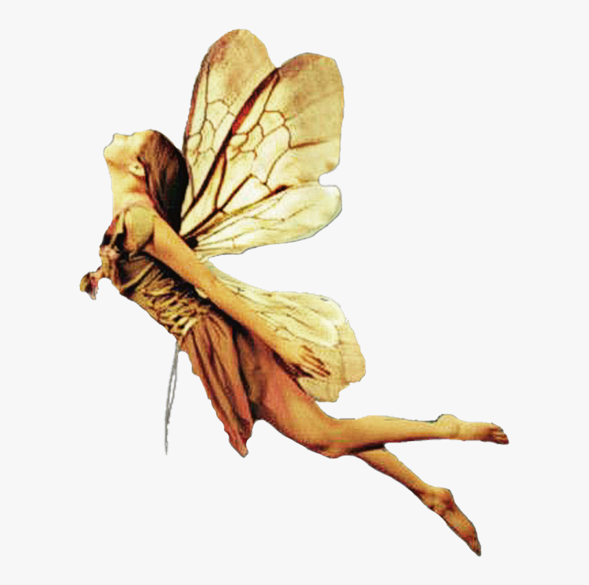 #hada #fairy #alas #fantasyart #wings #volar #flying, HD Png Download, Free Download