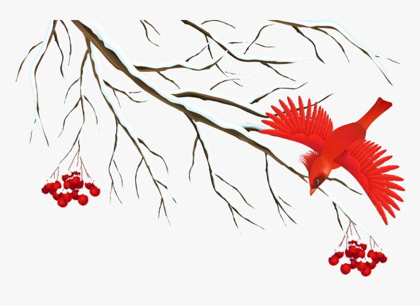 #mq #tree #snow #red #bird #birds, HD Png Download, Free Download