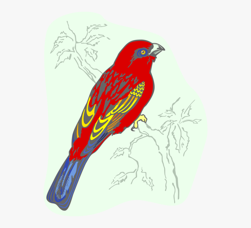 Vector Illustration Of Feathered Vertebrate Red Bird, HD Png Download, Free Download