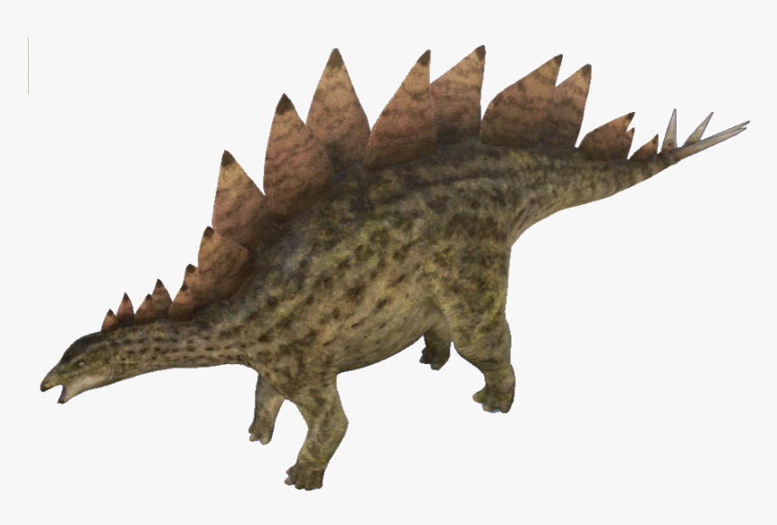 Stegosaurus Png Transparent Image, Png Download, Free Download