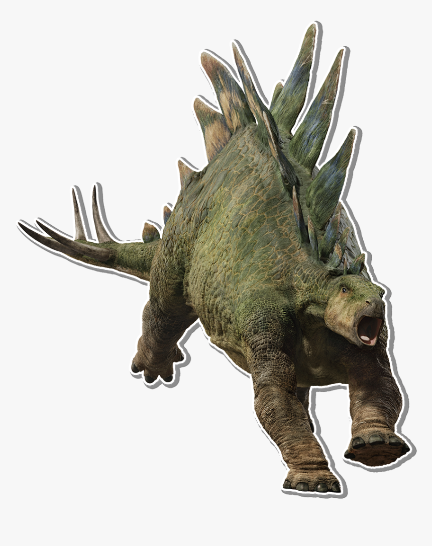 Stegosaurus Png, Transparent Png, Free Download