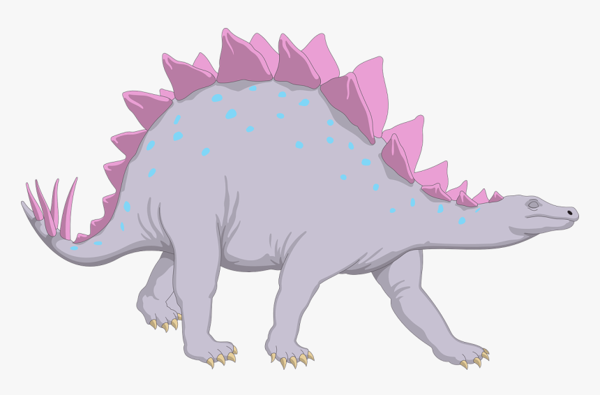 Stegosaurus Png, Transparent Png, Free Download
