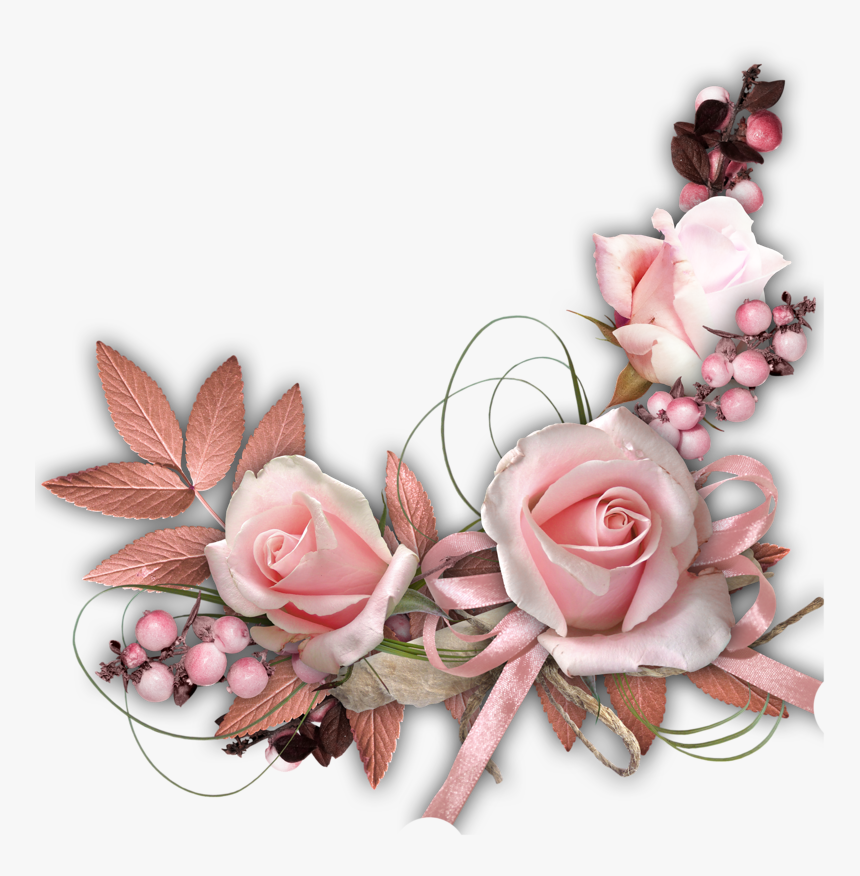 Rose .png, Transparent Png, Free Download