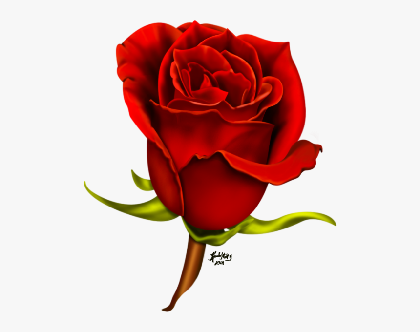 Rose .png, Transparent Png, Free Download