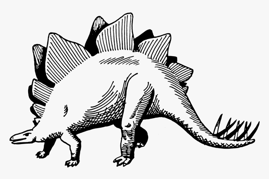 Stegosaurus Png, Transparent Png, Free Download