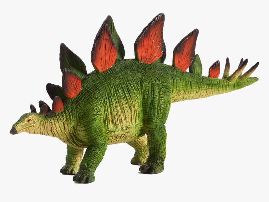Stegosaurus Png, Transparent Png, Free Download