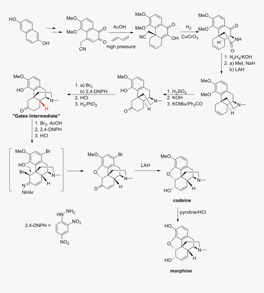 Gates Synthesis, HD Png Download, Free Download