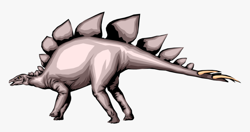 Vector Illustration Of Prehistoric Stegosaurus Dinosaur, HD Png Download, Free Download