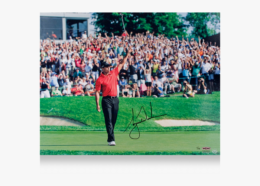 Tiger Woods Png, Transparent Png, Free Download