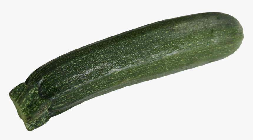 - Zucchini , Png Download, Transparent Png, Free Download