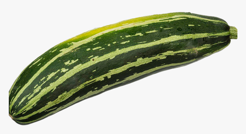 Zucchini Png, Transparent Png, Free Download