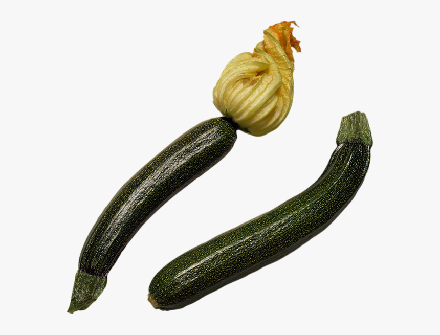 Tube Légume, Courgettes Png, Transparent Png, Free Download