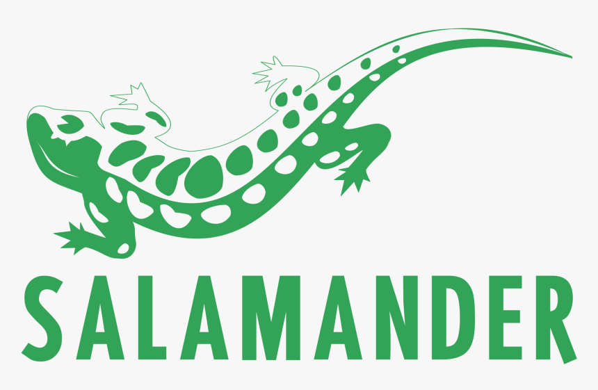 Salamander Png, Transparent Png, Free Download