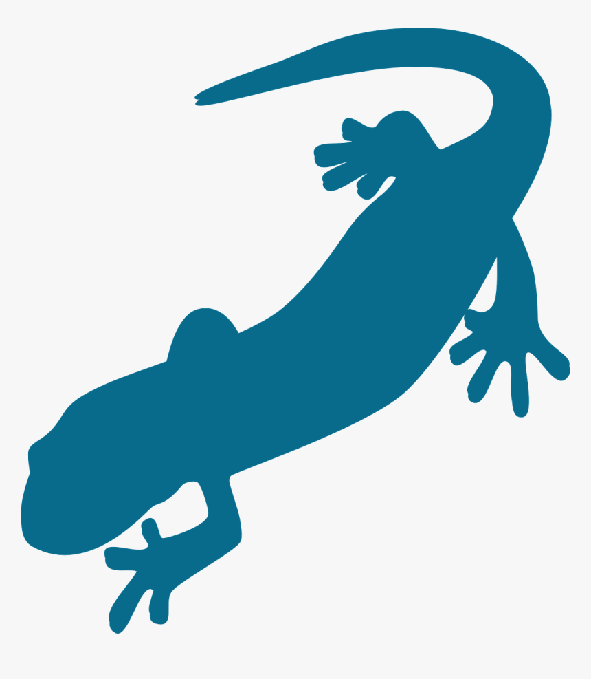 Salamander Png Pic, Transparent Png, Free Download