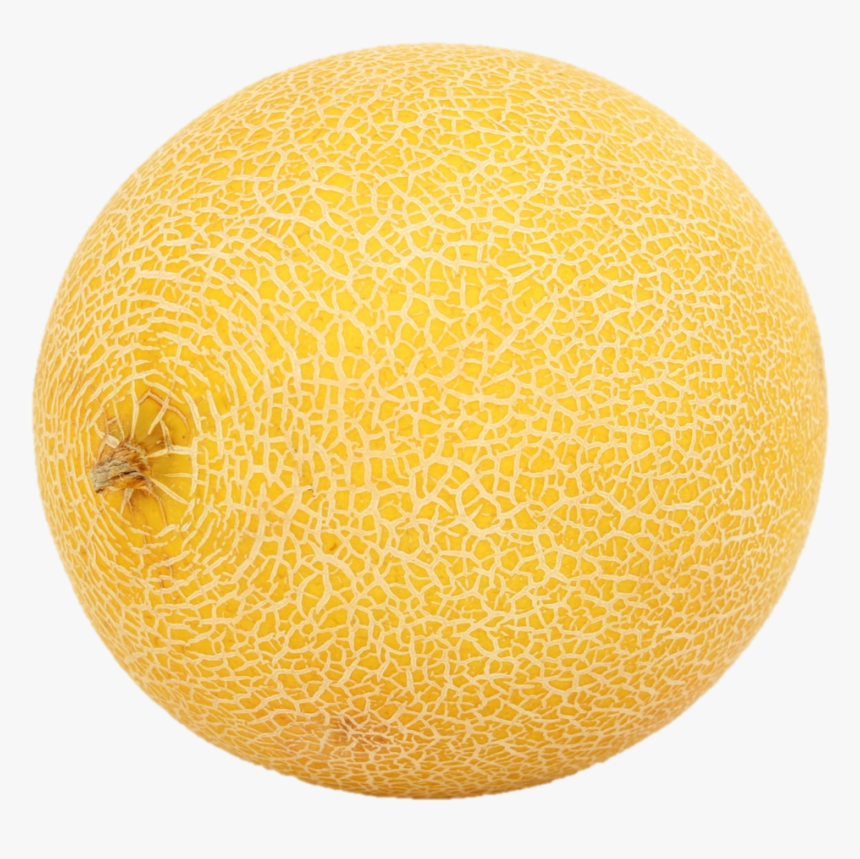 Cantalope 1, HD Png Download, Free Download