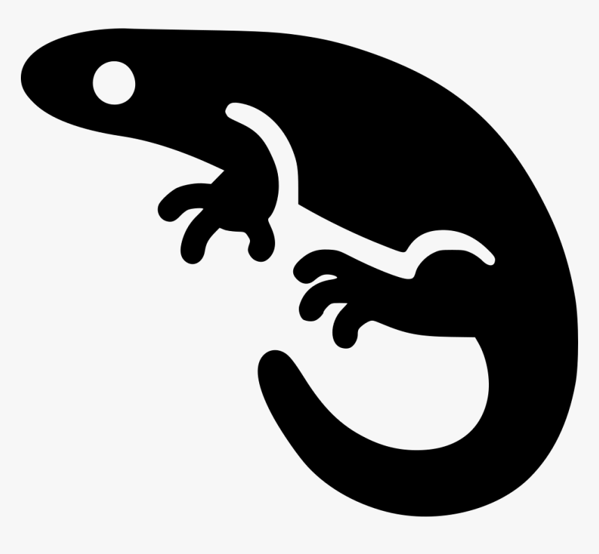 Salamander, HD Png Download, Free Download