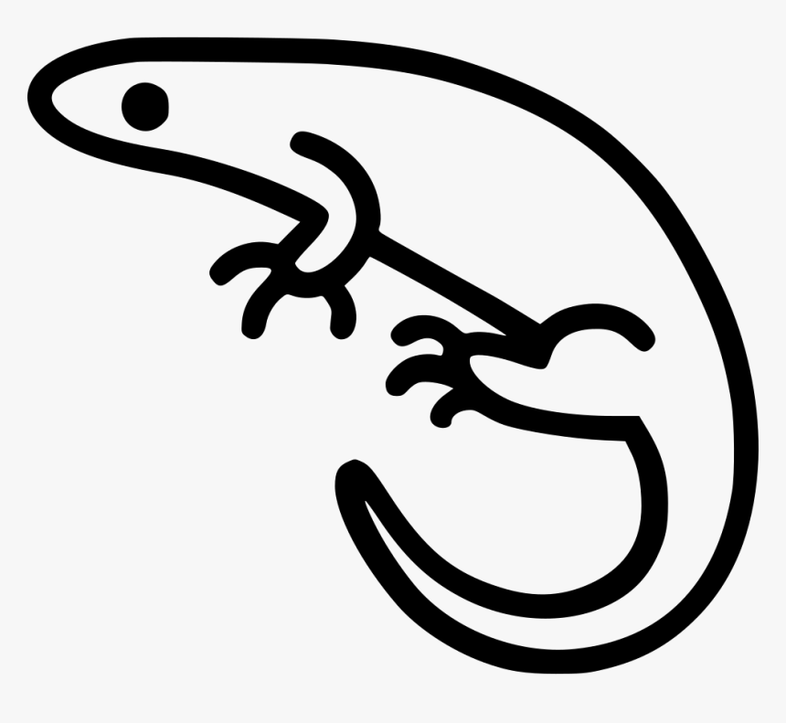 Salamander, HD Png Download, Free Download