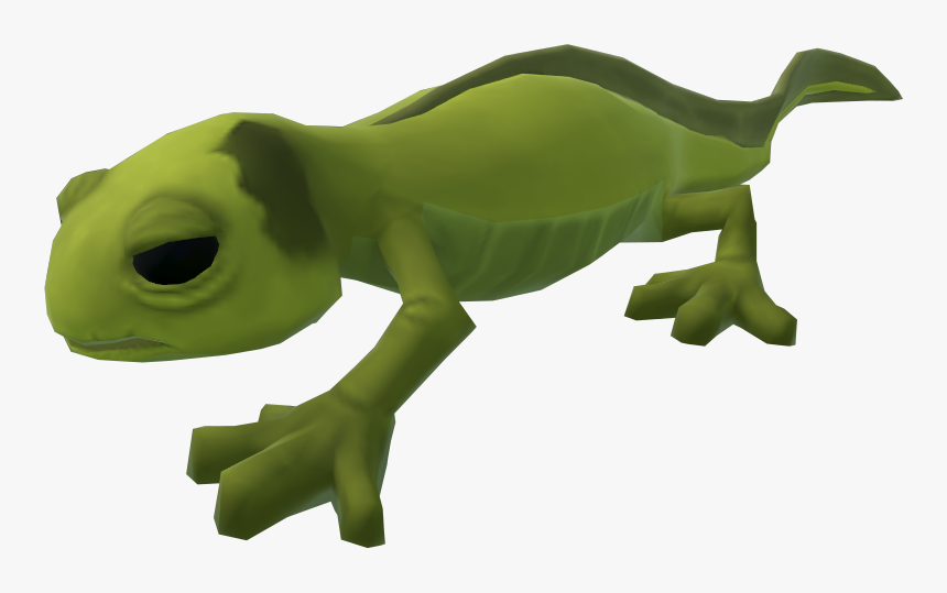 Salamander Png, Transparent Png, Free Download