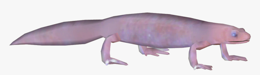 Grotto Salamander, HD Png Download, Free Download