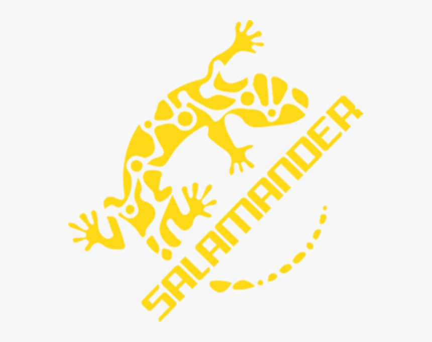 Salamander Png, Transparent Png, Free Download