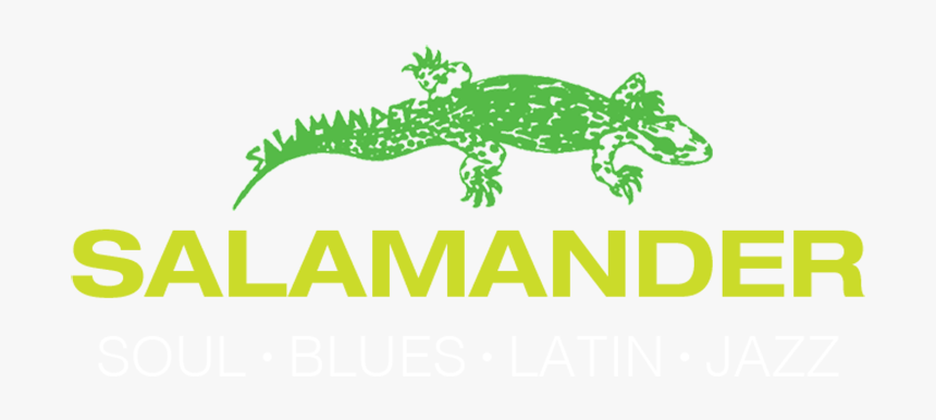 Salamander, HD Png Download, Free Download