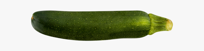 Zucchini Png, Transparent Png, Free Download