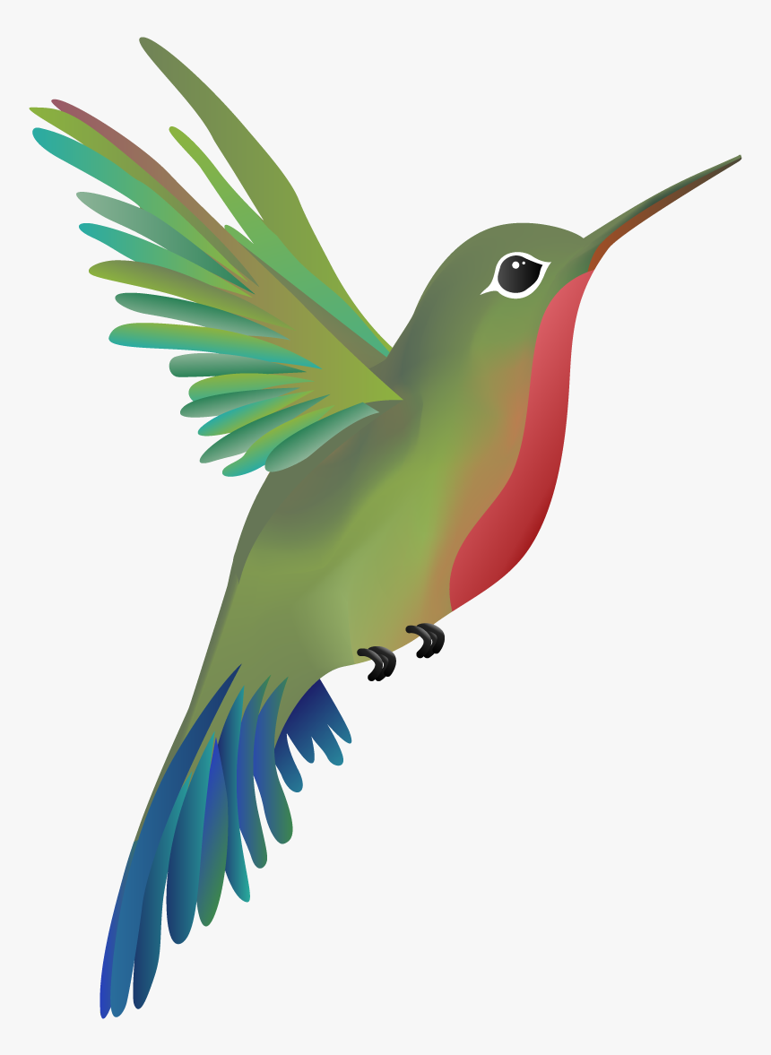 Hummingbird Art Png Free Download, Transparent Png, Free Download