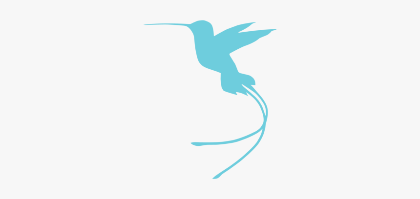 Bluehummingbirdicon6web, HD Png Download, Free Download