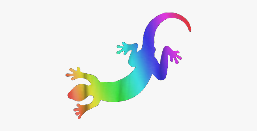 Salamander Png, Transparent Png, Free Download