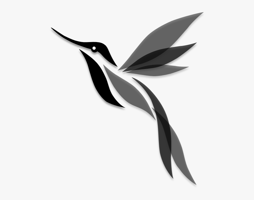 Jamaican Drawing Hummingbird, HD Png Download, Free Download