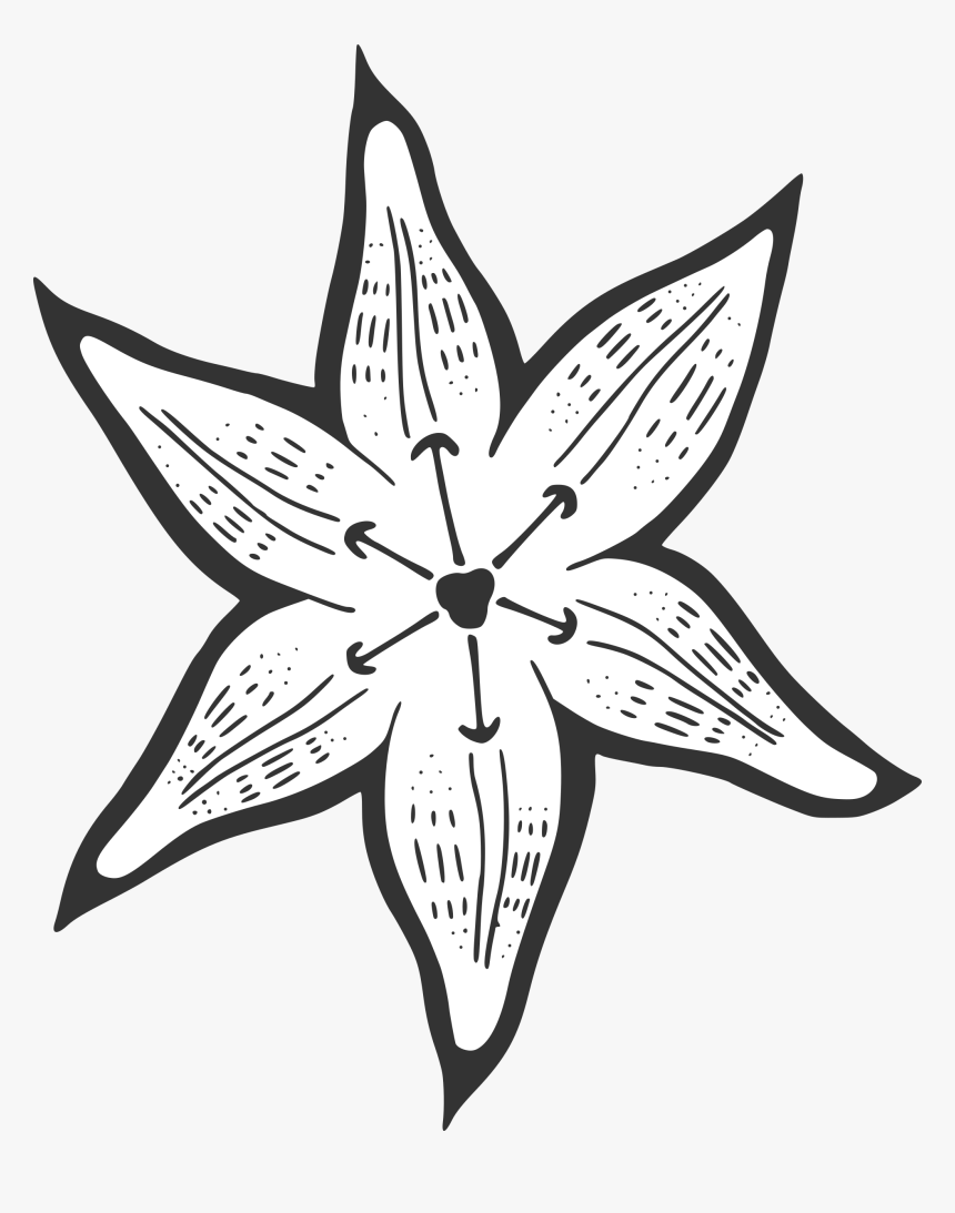 A Lily For Becky Clip Arts, HD Png Download, Free Download