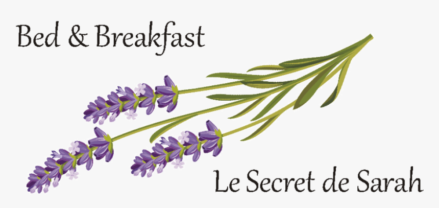 Le Secret De Sarah, HD Png Download, Free Download