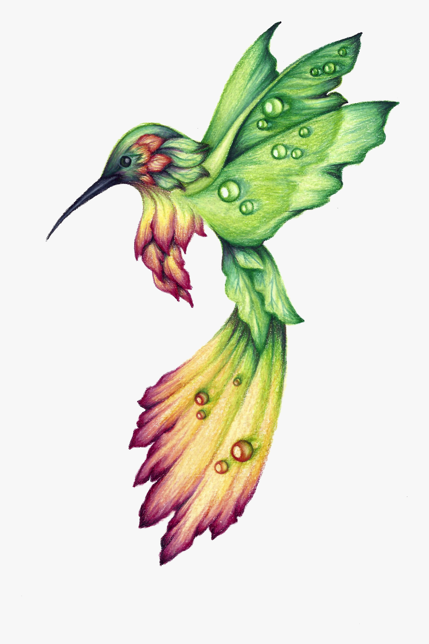 Habitat Drawing Hummingbird, HD Png Download, Free Download