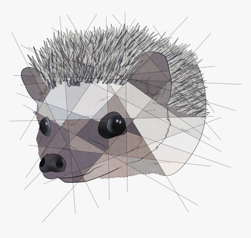 Geometric Hedgehog @poppy-hedgie 
$20 Geometric Commissions - Procyon, HD Png Download, Free Download