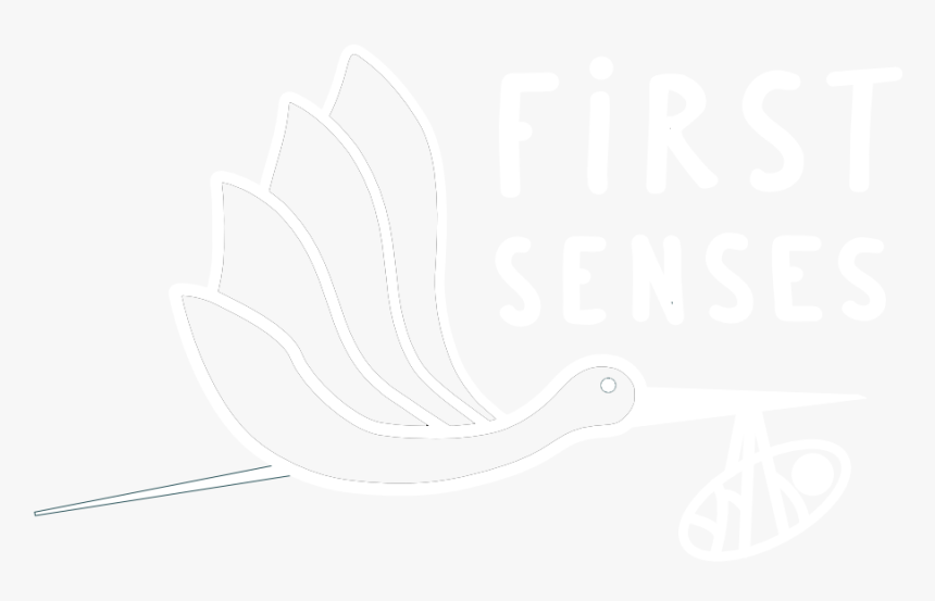 First Senses - Calligraphy, HD Png Download, Free Download